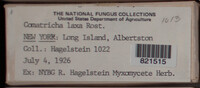 Image Associated With the Occurence